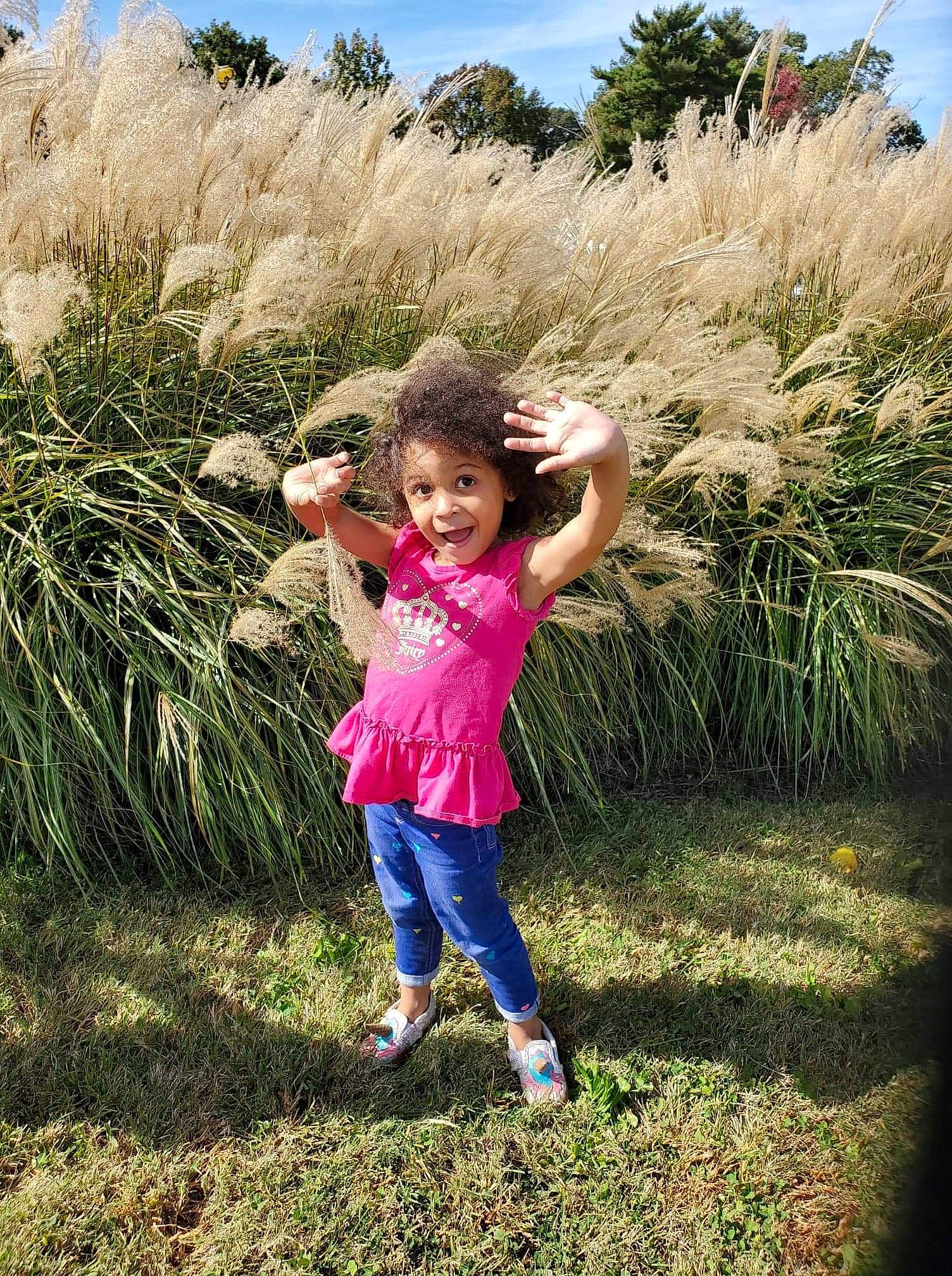 Ka'Lea joined the competition — help win amazing prizes! botany, child, flower, fun, grass, grass_family, happy, natural_landscape, people_in_nature, person, photography, plant, shrub, smile, spring, summer, toddler, tree, vacation, vegetation