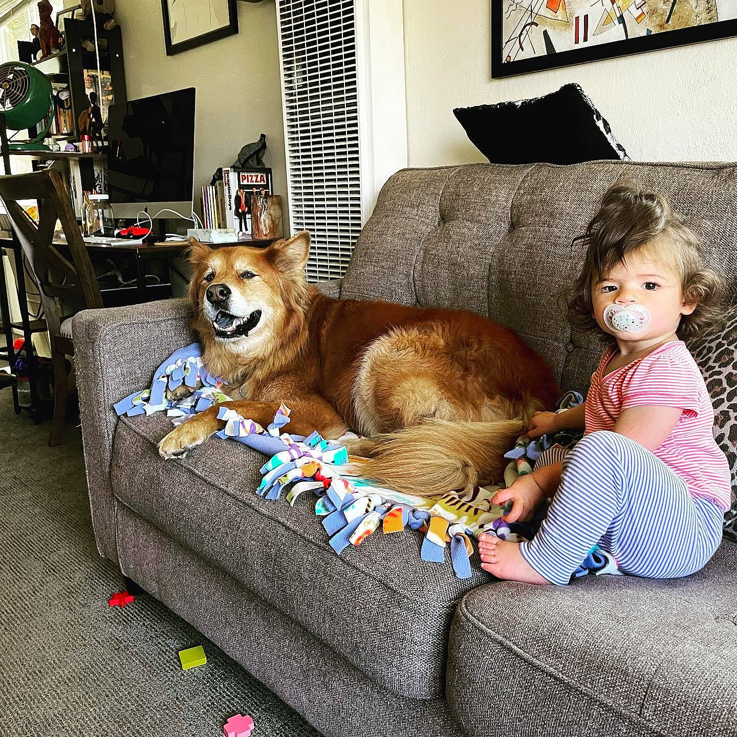 Lorraine is registered to the contest to win money with this photo: carnivore, comfort, companion_dog, couch, dog, dog_breed, dog_supply, fawn, flooring, fur, lamp, leisure, living_room, outdoor_furniture, person, picture_frame, pillow, room, sofa_bed, studio_couch