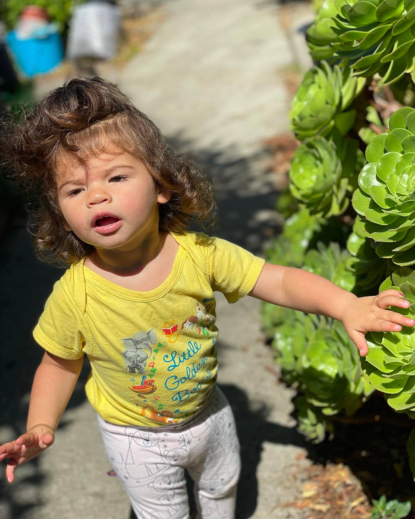 Lorraine is registered to the contest to win money with this photo: adaptation, beauty, botany, child, flowering_plant, grass, green, happy, leaf, leaf_vegetable, leisure, natural_foods, people_in_nature, person, photograph, plant, produce, snapshot, t_shirt, terrestrial_plant