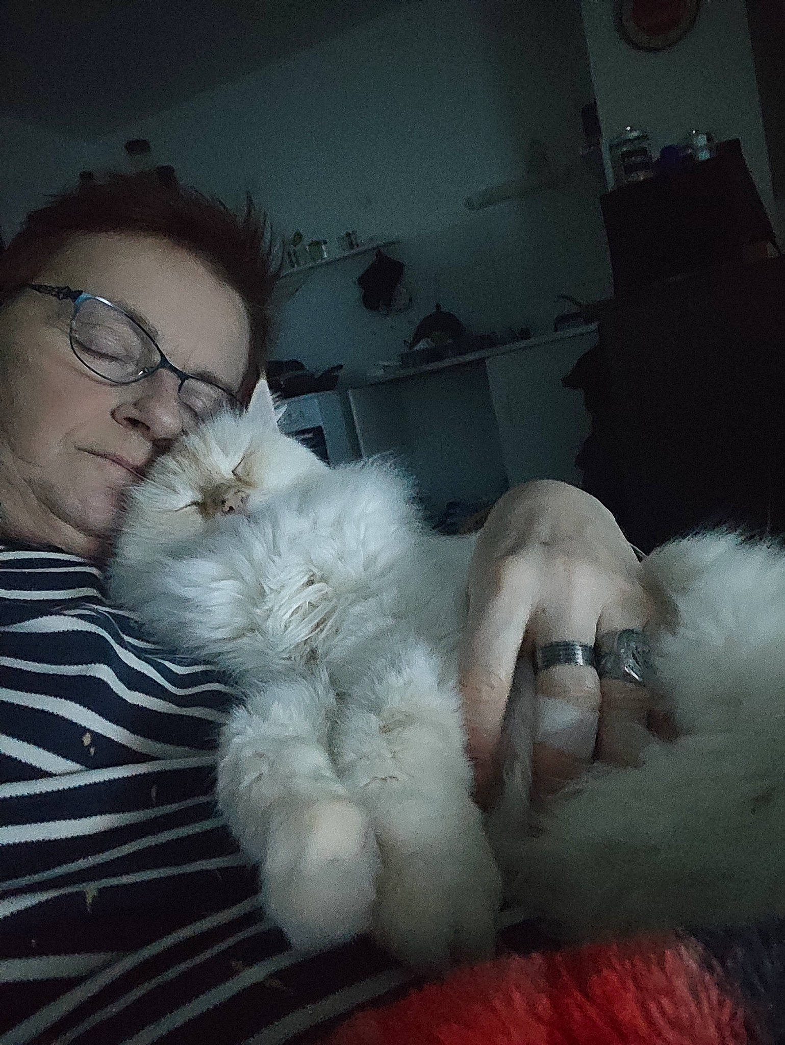 Gusty participe au concours pour gagner de l'argent avec cette photo : abdomen, cat, comfort, companion_dog, eyewear, feather, felidae, flesh, fur, fur_clothing, gesture, glasses, lap, paw, room, sitting, small_to_medium_sized_cats, tail, vision_care, whiskers