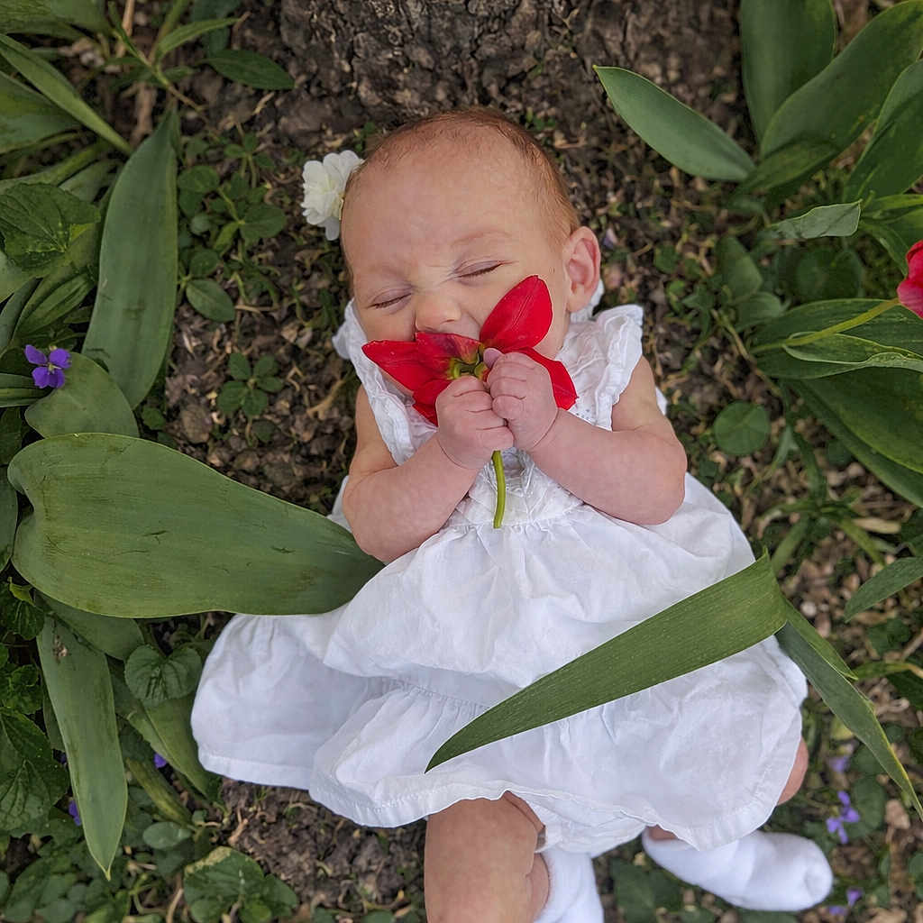 Hazel joined the competition — help win amazing prizes! baby, infant, child, white_dress, red_flower, holding_flower, leaves, grass, tree_bark, outdoor, nature, sleeping, tiny_hands, socks, portrait, top_down_view, cute, newborn, blossom, green_foliage