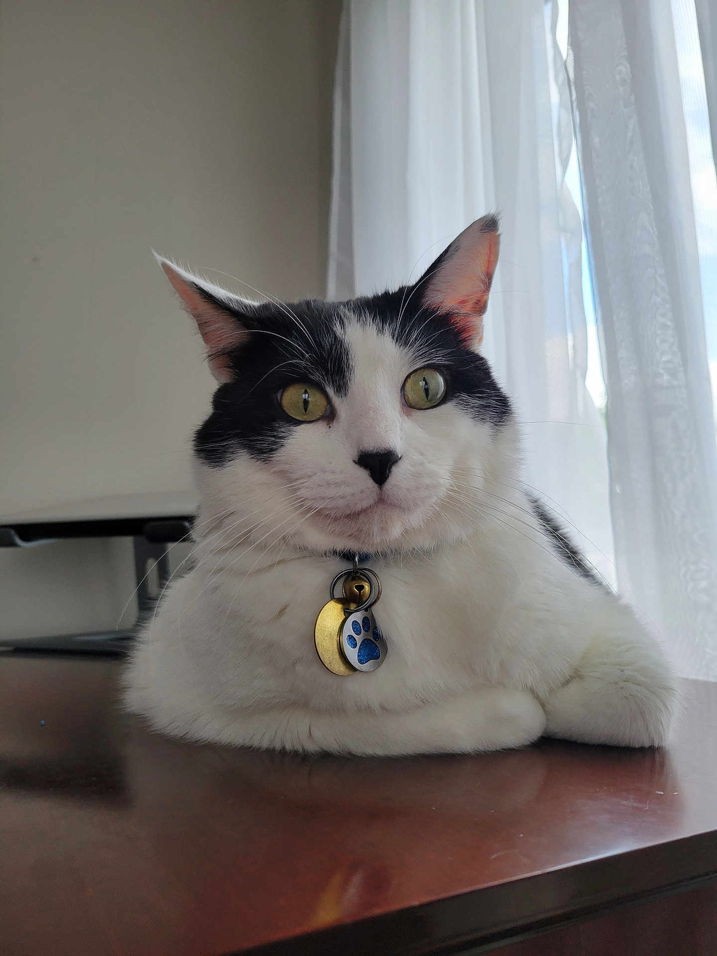 Handsome