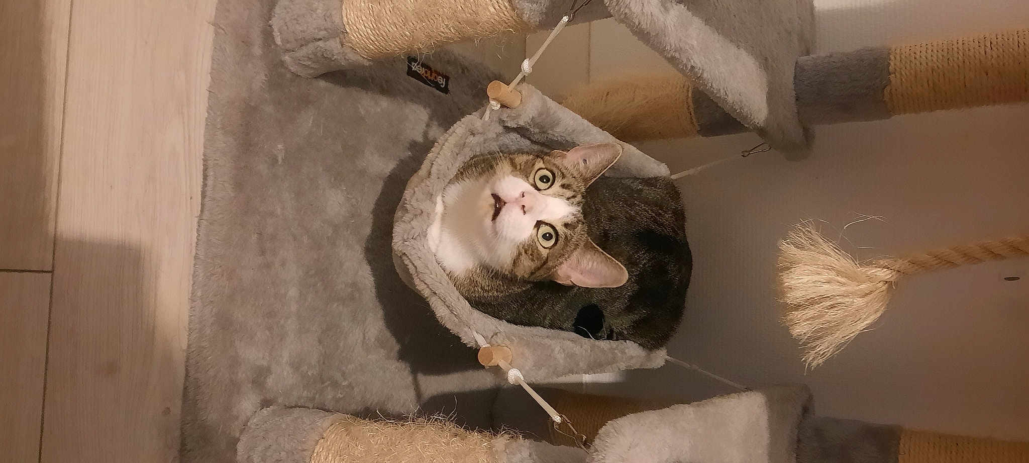 Mika