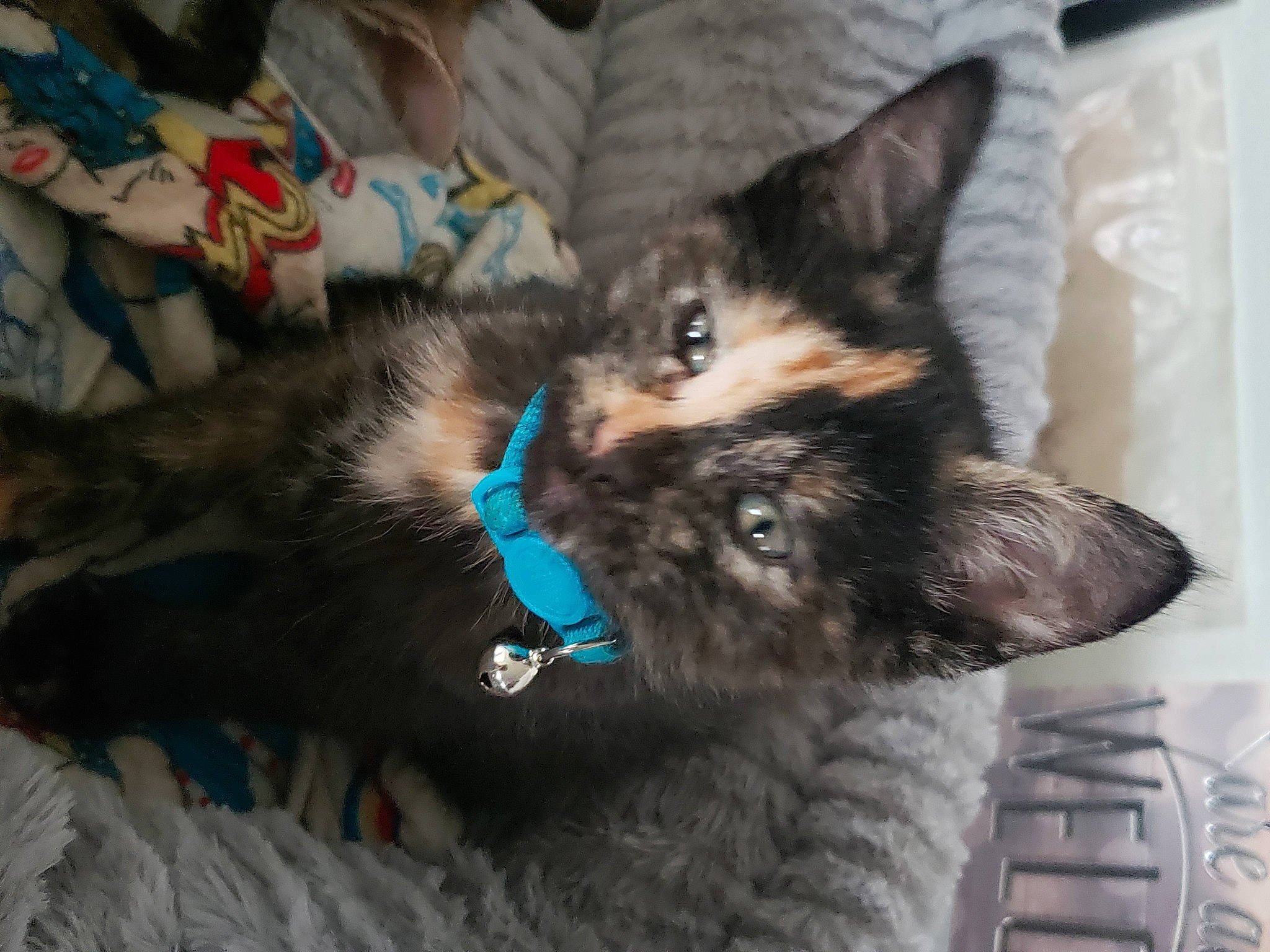 Whiskey
