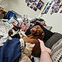 dog, kitten, cat, couch, blanket, foot, backpack, photo_wall, indoor, cozy, pet, animal, furniture, home, relaxed, playful, brown_dog, tabby_cat, black_and_white_cat, person_leg