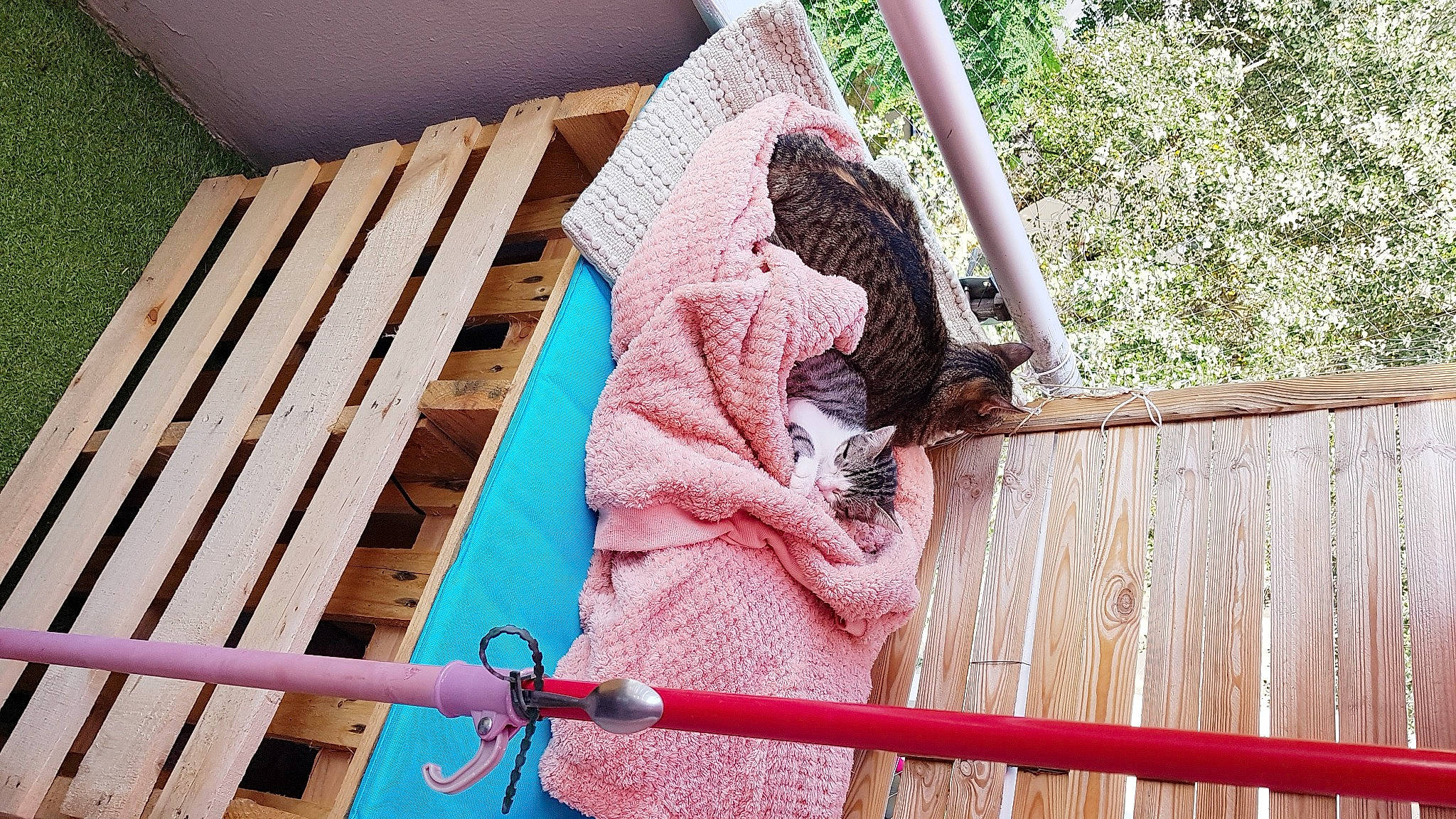 Rubis a rejoint le concours — aidez-le/la à gagner de superbes lots ! baby_products, boats_and_boating_equipment_and_supplies, chair, child, fun, grass, hardwood, house, leisure, line, magenta, outdoor_furniture, pattern, pink, recreation, red, sitting, textile, wood, wood_stain