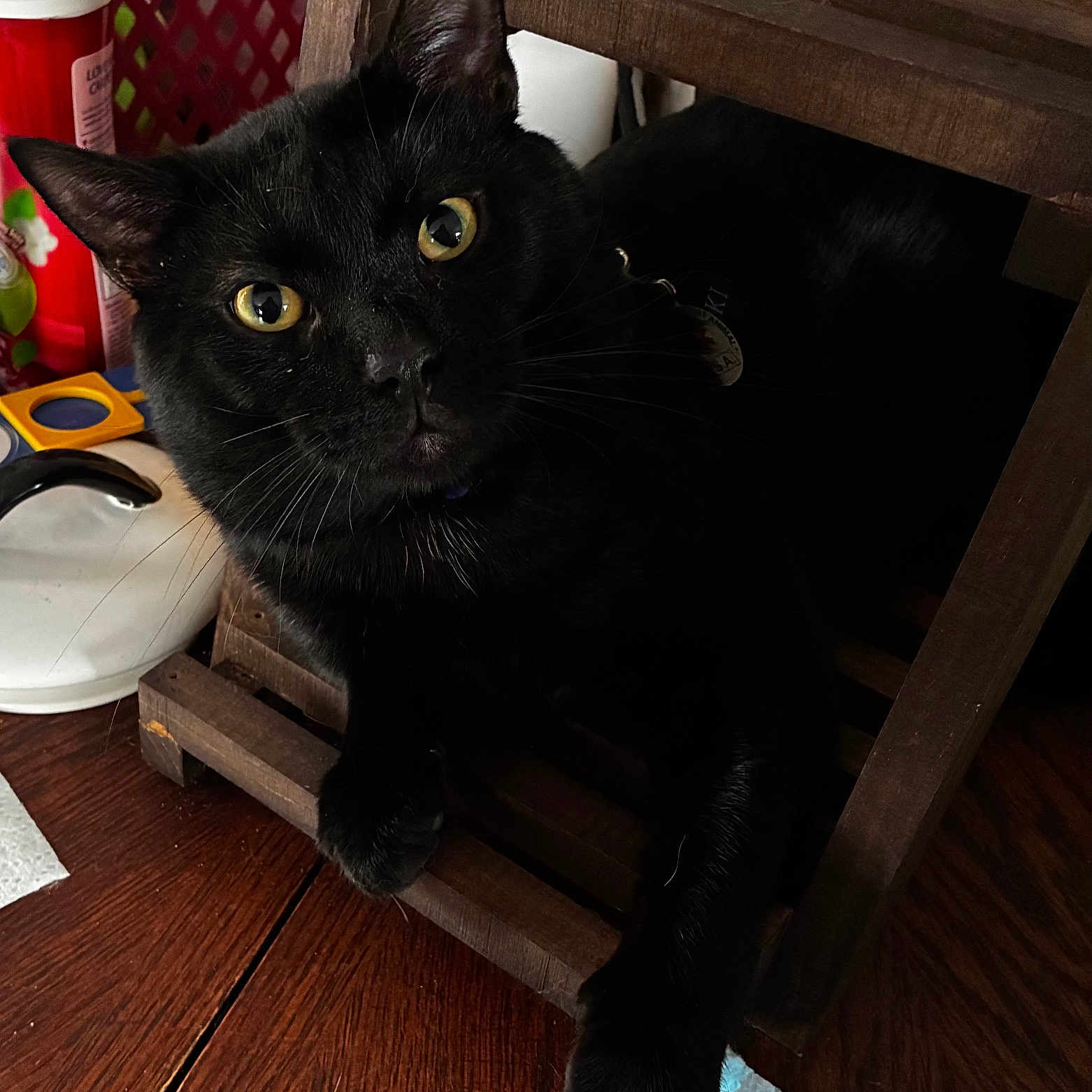 Loki