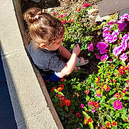 Cersei joined the competition — help win amazing prizes! casual_clothing, child, child_sitting, concrete_border, curly_hair, exploring, flower_bed, footwear, garden, green_leaves, hair_bun, nature, outdoor, person, pink_flower, plant, red_flower, side_view, summer, sunlight
