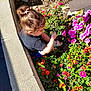 casual_clothing, child, child_sitting, concrete_border, curly_hair, exploring, flower_bed, footwear, garden, green_leaves, hair_bun, nature, outdoor, person, pink_flower, plant, red_flower, side_view, summer, sunlight