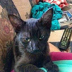 Princess Little Bear