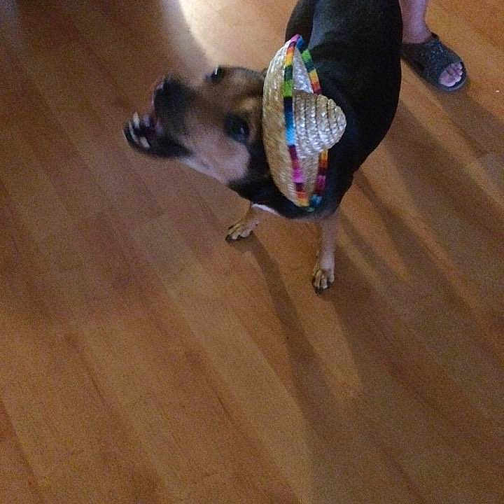 George is registered to the contest to win money with this photo: