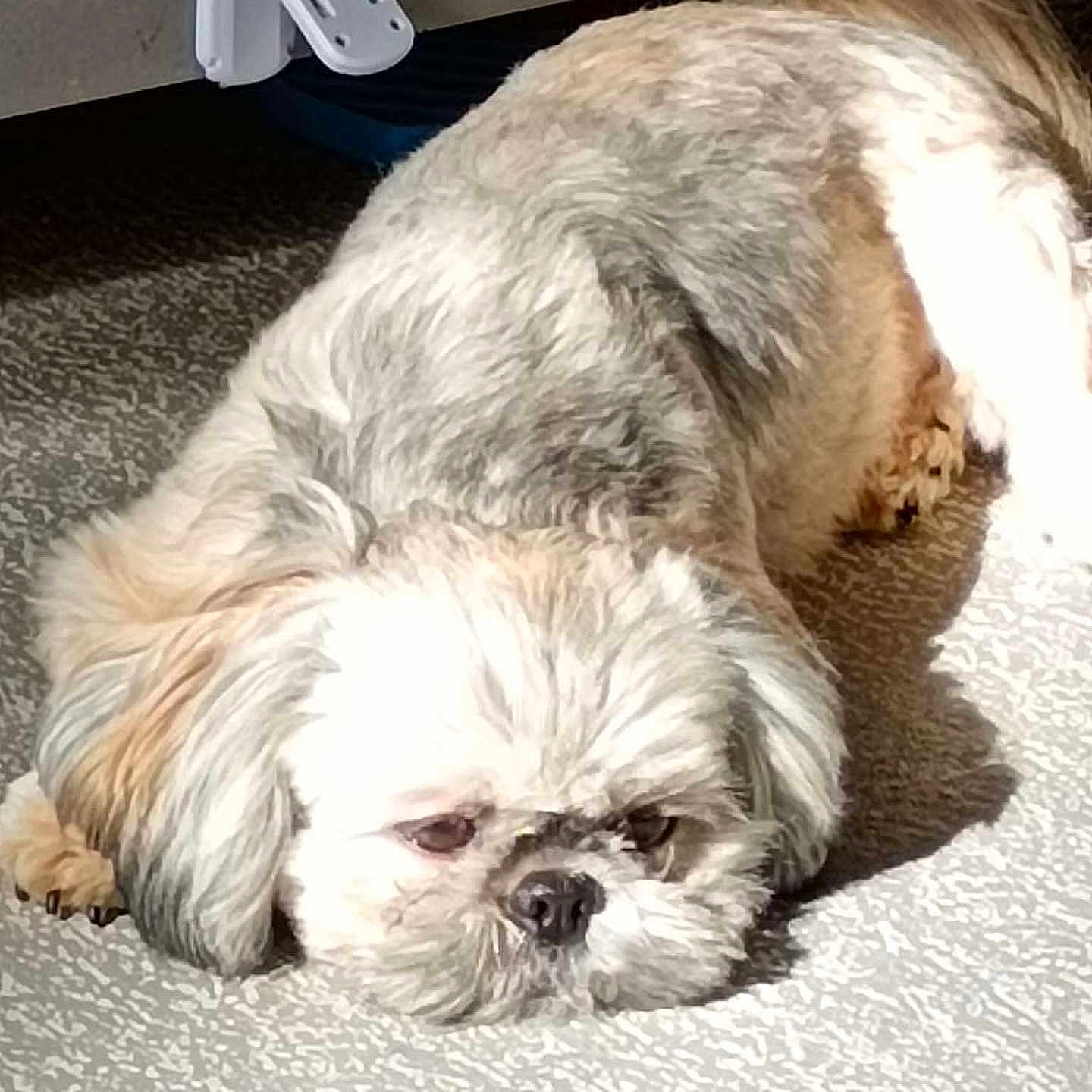Watson