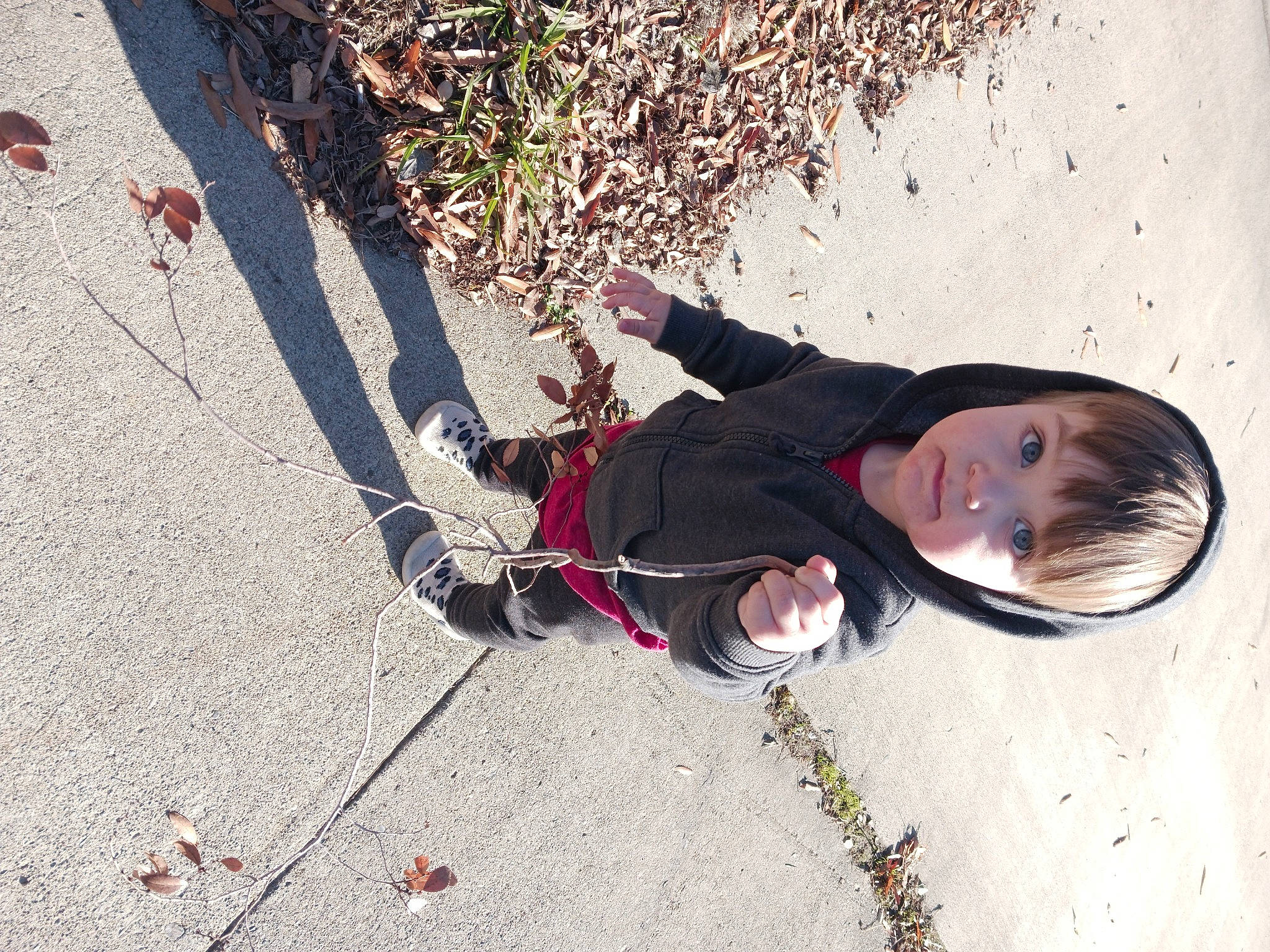 Atom joined the competition — help win amazing prizes! adventure, asphalt, concrete, eyewear, flooring, fun, landscape, leisure, person, plant, play, recreation, road_surface, rock_climbing_equipment, rope, sand, shadow, sidewalk, smile, toddler