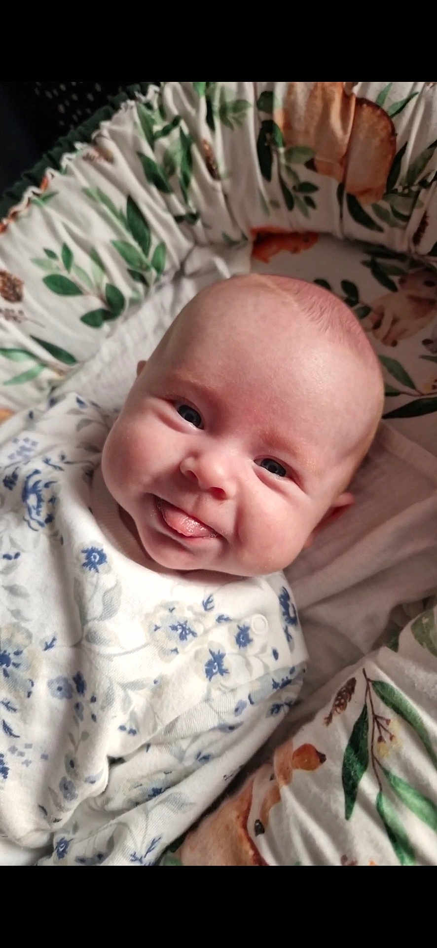 Winnie joined the competition — help win amazing prizes! baby, infant, face, tongue_out, smile, blue_eyes, floral_clothing, cute, child, cushion, leaf_pattern, soft_fabric, comfort, indoors, portrait, skin, head, lying_down, playful, happy