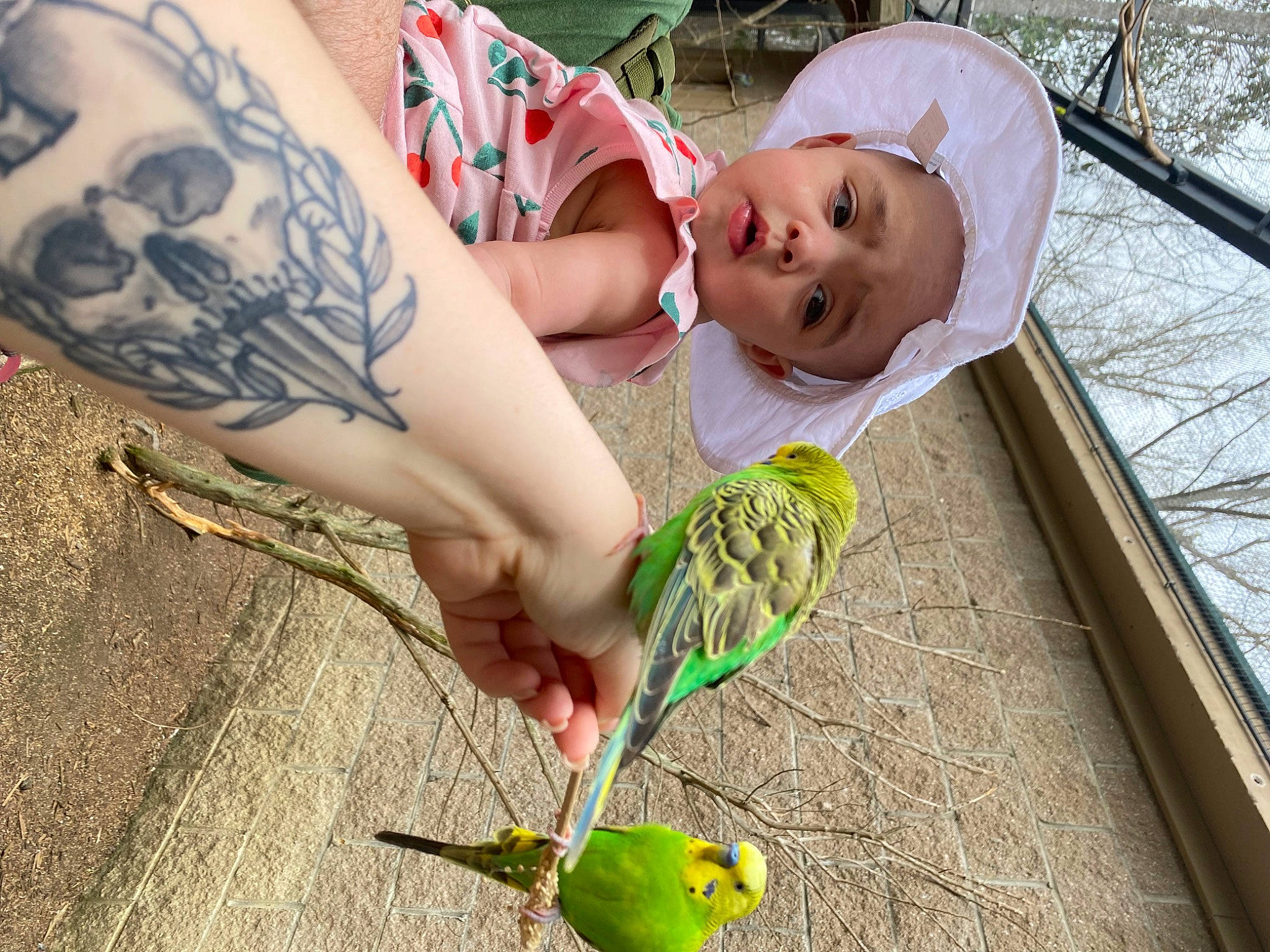 Alivia is registered to the contest to win money with this photo: baby, baby_toddler_clothing, bird, child, elbow, grass, green, hand, human_body, human_leg, leisure, organ, person, skin, tattoo, temporary_tattoo, thigh, toddler, tree, vertebrate