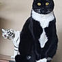 Karma joined the competition — help win amazing prizes! cat, tuxedo_cat, animal, pet, table, wood, figurine, ceramic, tiger, black_and_white, indoor, feline, whiskers, yellow_eyes, sitting, curious, decor, plant, leaf, still_life