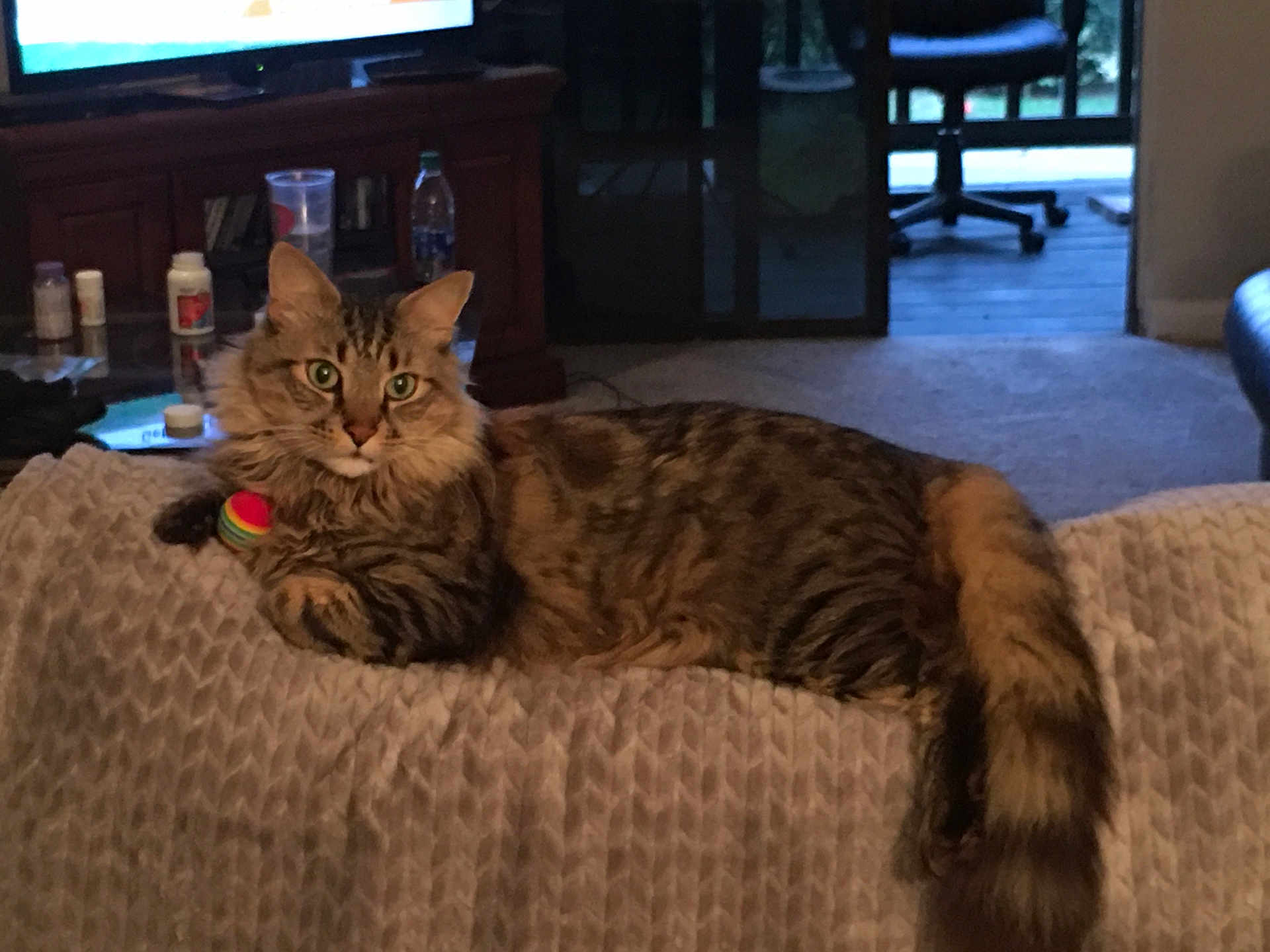 Spaz