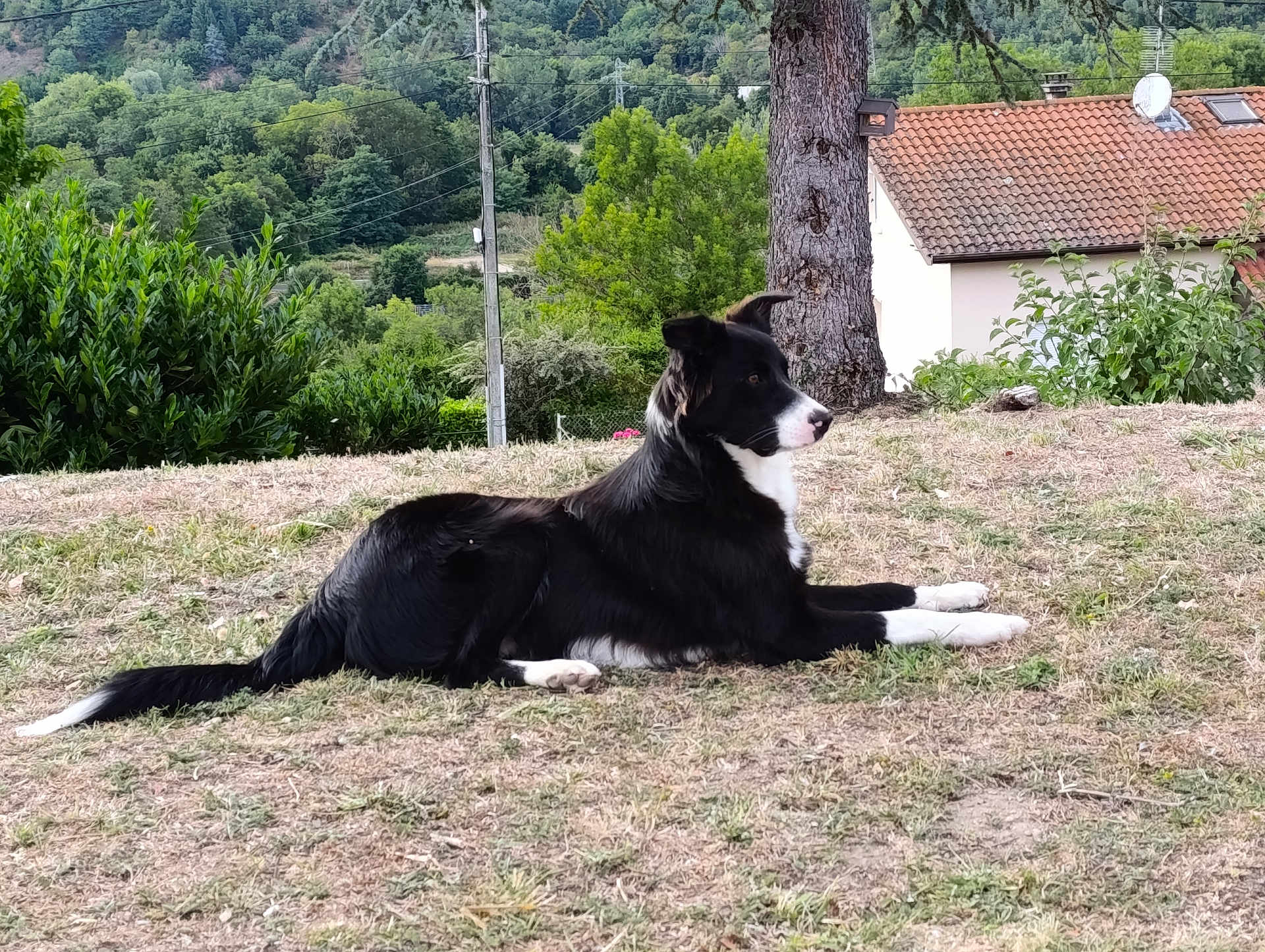 Vasco