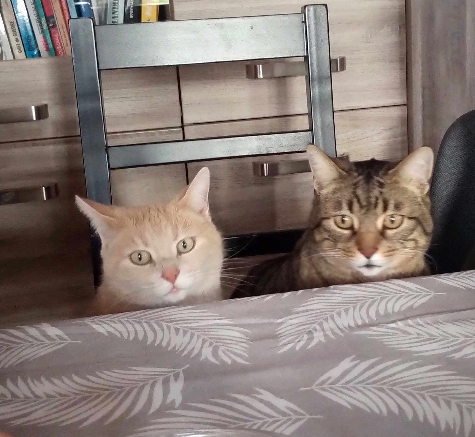 Chouchoune Et Loulou