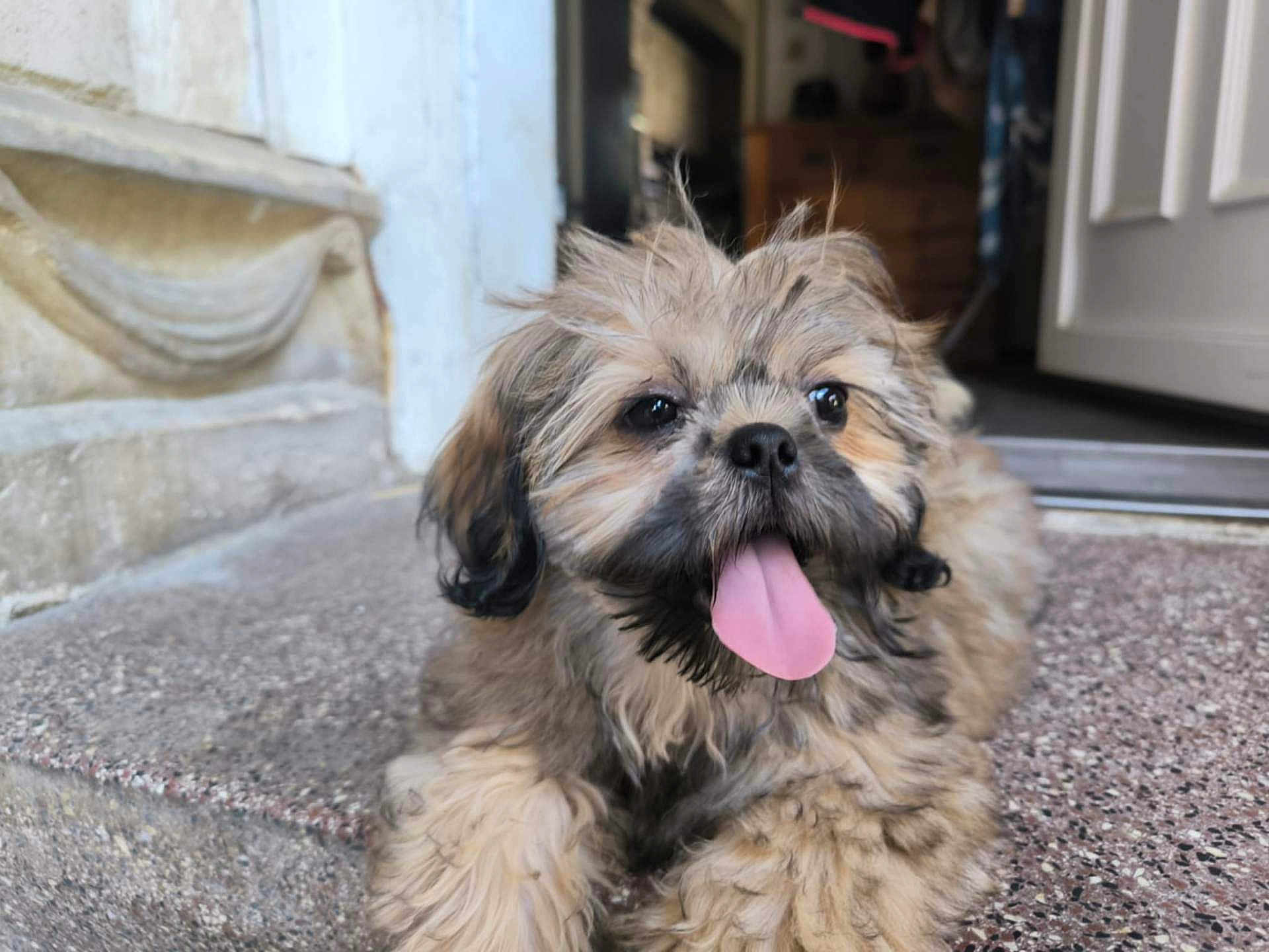 Ayko