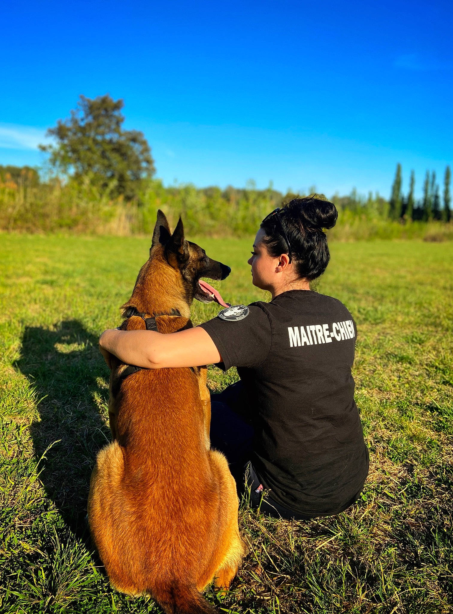 Raïko participe au concours pour gagner de l'argent avec cette photo : canidae, carnivore, companion_dog, dog, dog_breed, fawn, grass, grassland, happy, landscape, meadow, natural_landscape, pasture, people_in_nature, plant, prairie, sky, sporting_group, tree, working_animal