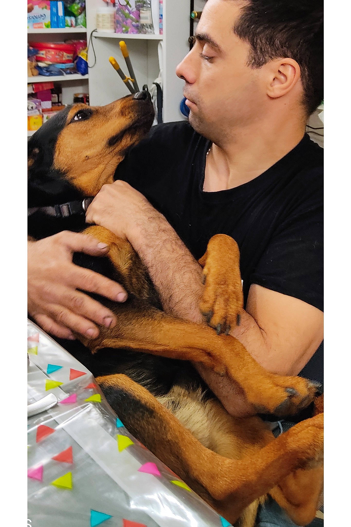 Baloo a rejoint le concours — aidez-le/la à gagner de superbes lots ! bookcase, comfort, elbow, eyelash, fashion_design, flesh, fur, gesture, human_leg, knee, nail, pattern, room, shelf, shelving, thumb, vertebrate, wrist