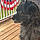 Gabby