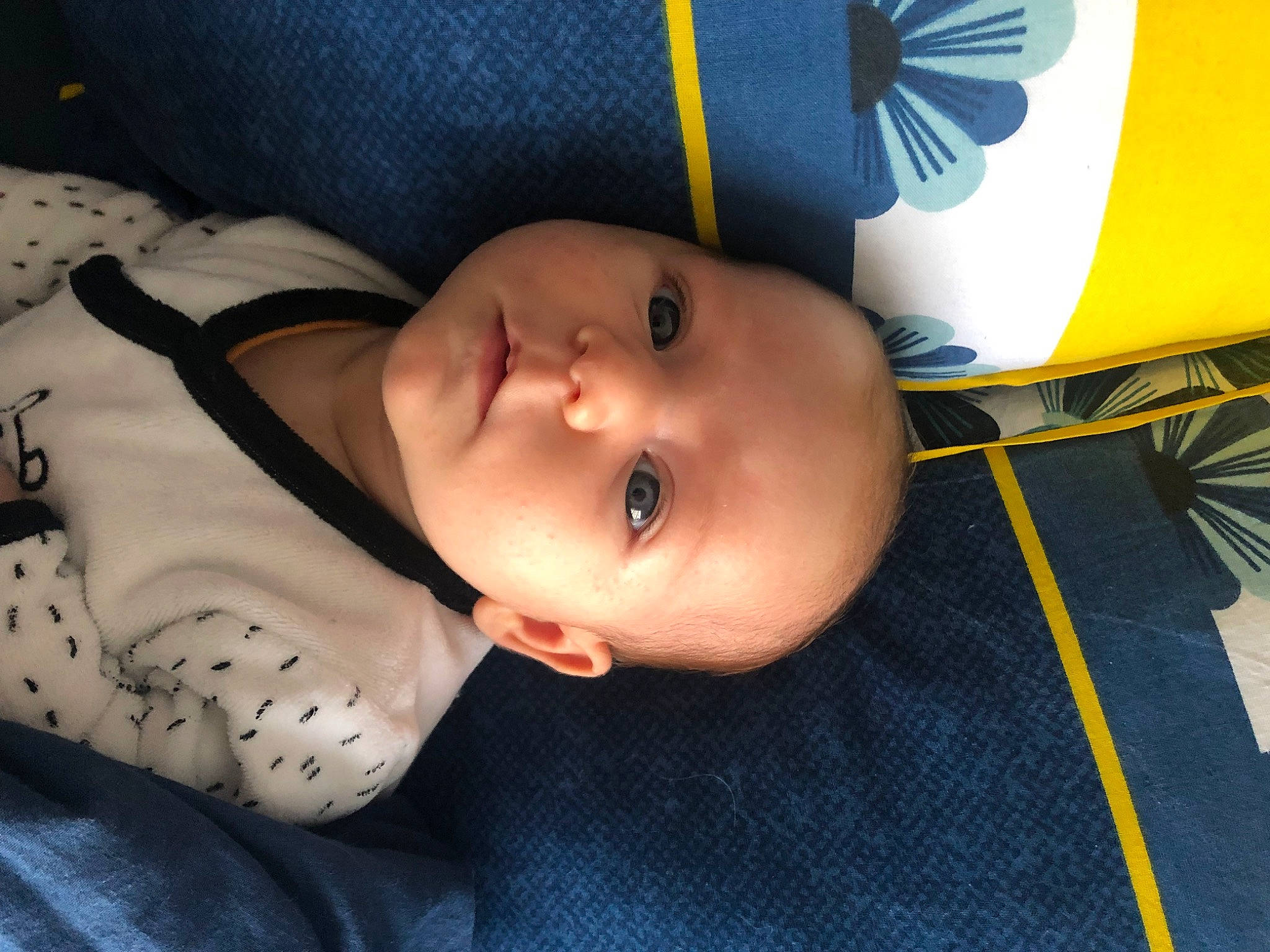 Keissy participe au concours pour gagner de l'argent avec cette photo : baby, baby_products, baby_safety, baby_toddler_clothing, cheek, child, comfort, electric_blue, nose, pattern, person, sleeve, smile, toddler