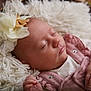 baby, sleeping, flower_headband, blanket, pink_clothing, infant, closeup, peaceful, soft_texture, newborn, portrait, resting, cute, child, small_hands, indoor, cozy, toddler, head, face