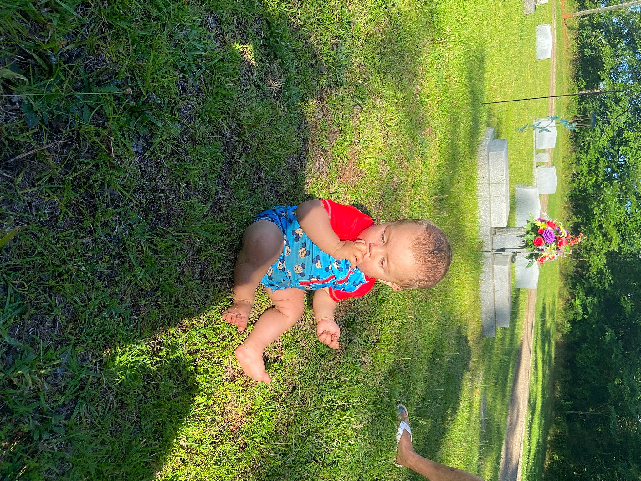 William is registered to the contest to win money with this photo: baby, child, fun, garden, grass, grass_family, grassland, happy, landscape, lawn, leisure, meadow, people_in_nature, person, plant, recreation, shrub, toddler, tree, vegetation