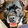 Tyson
