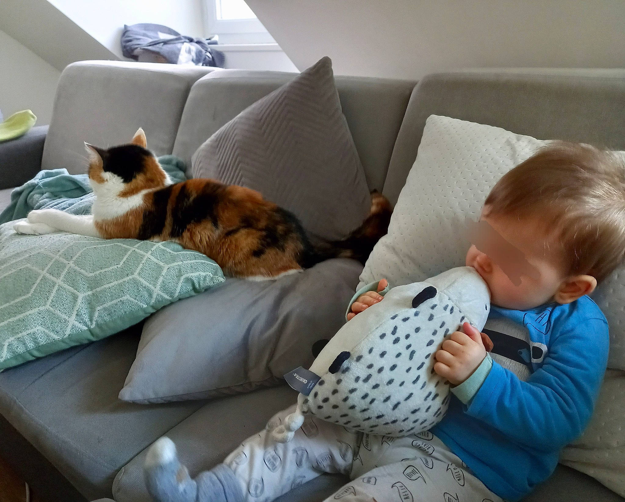 Pitchoune participe au concours pour gagner de l'argent avec cette photo : baby, baby_toddler_clothing, carnivore, cat, comfort, companion_dog, couch, felidae, furniture, house, lap, living_room, mammal, pillow, small_to_medium_sized_cats, studio_couch, toddler, vertebrate, whiskers, wood