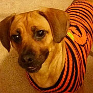 Bama joined the competition — help win amazing prizes!