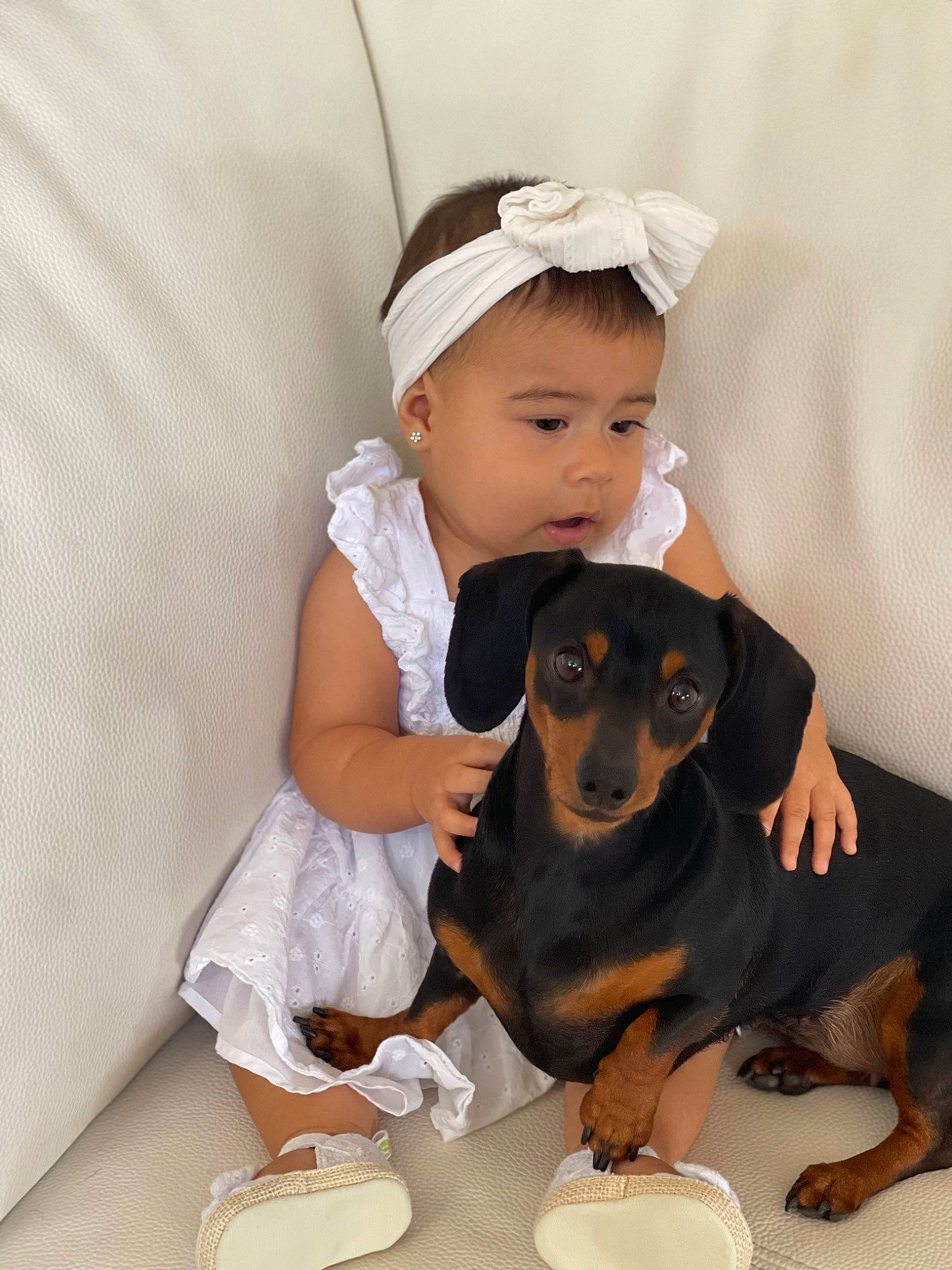 Amy joined the competition — help win amazing prizes! baby_toddler_clothing, carnivore, child, comfort, companion_dog, dog, dog_breed, ear, fashion_accessory, fawn, happy, hat, person, plate, sharing, sitting, t_shirt, tableware, toddler, toy_dog
