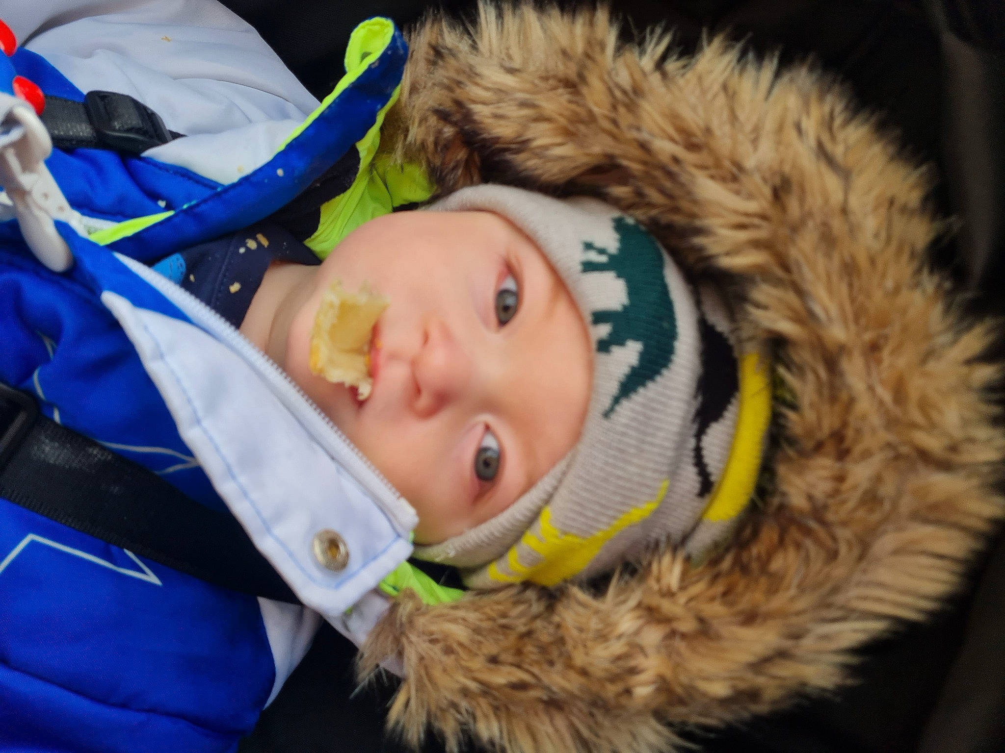Rhys is registered to the contest to win money with this photo: cap, child, electric_blue, eye, eyelash, fashion_accessory, fun, fur, fur_clothing, glove, grass, happy, headgear, headwear, jacket, nose, parka, person, skin, toddler