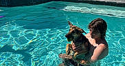 Roxy joined the competition — help win amazing prizes! animal, dog, fun, leisure, outdoor, person, pet, plants, playful, poolside, potted_plants, relaxation, summer, sunlight, sunshine, swimming_pool, tennis_ball, vacation, water, young_adult