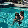 Roxy joined the competition — help win amazing prizes! person, dog, swimming_pool, water, tennis_ball, summer, sunlight, outdoor, plants, potted_plants, relaxation, vacation, leisure, fun, pet, animal, young_adult, poolside, playful, sunshine