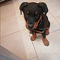 Ludo L.