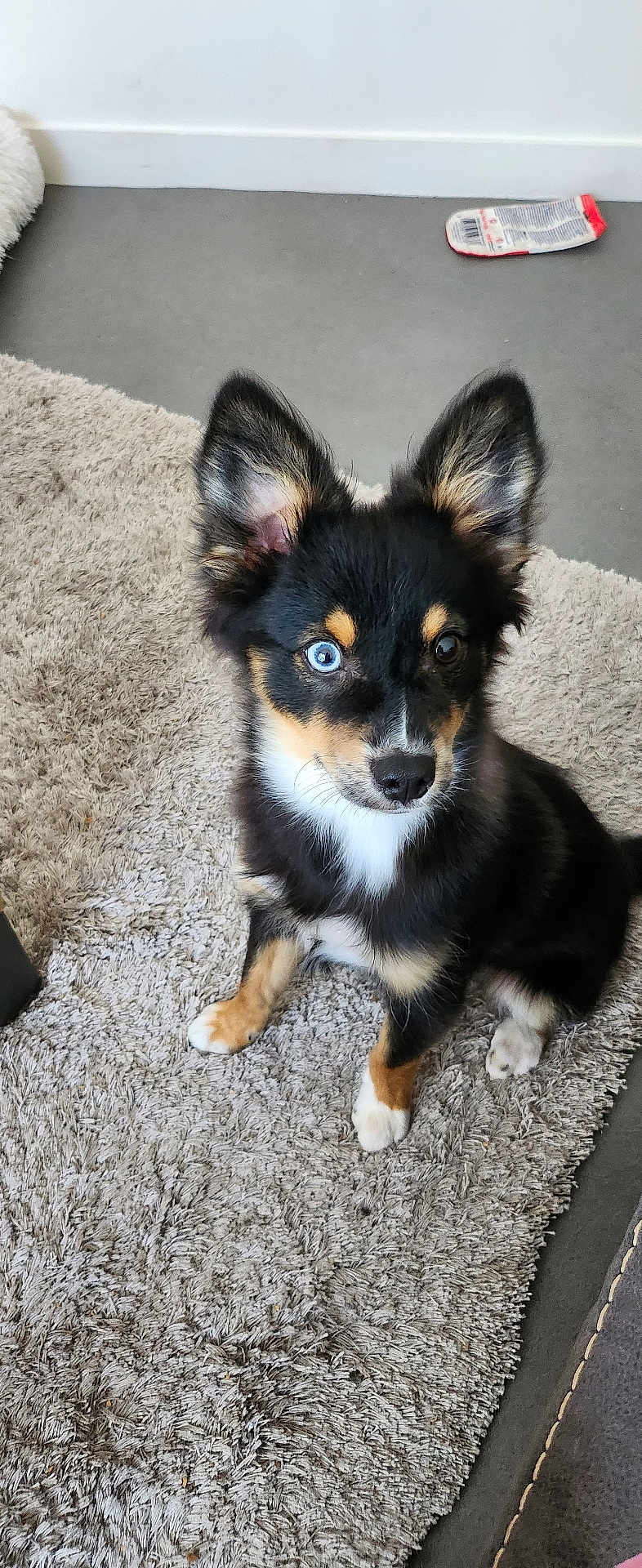 Dakota