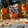 Xavian joined the competition — help win amazing prizes! baby, pumpkin, fall, autumn, hay_bale, leaves, blanket, outdoor, child, orange, seasonal, cute, nature, sunlight, holiday, decoration, smile, portrait, festive, costume