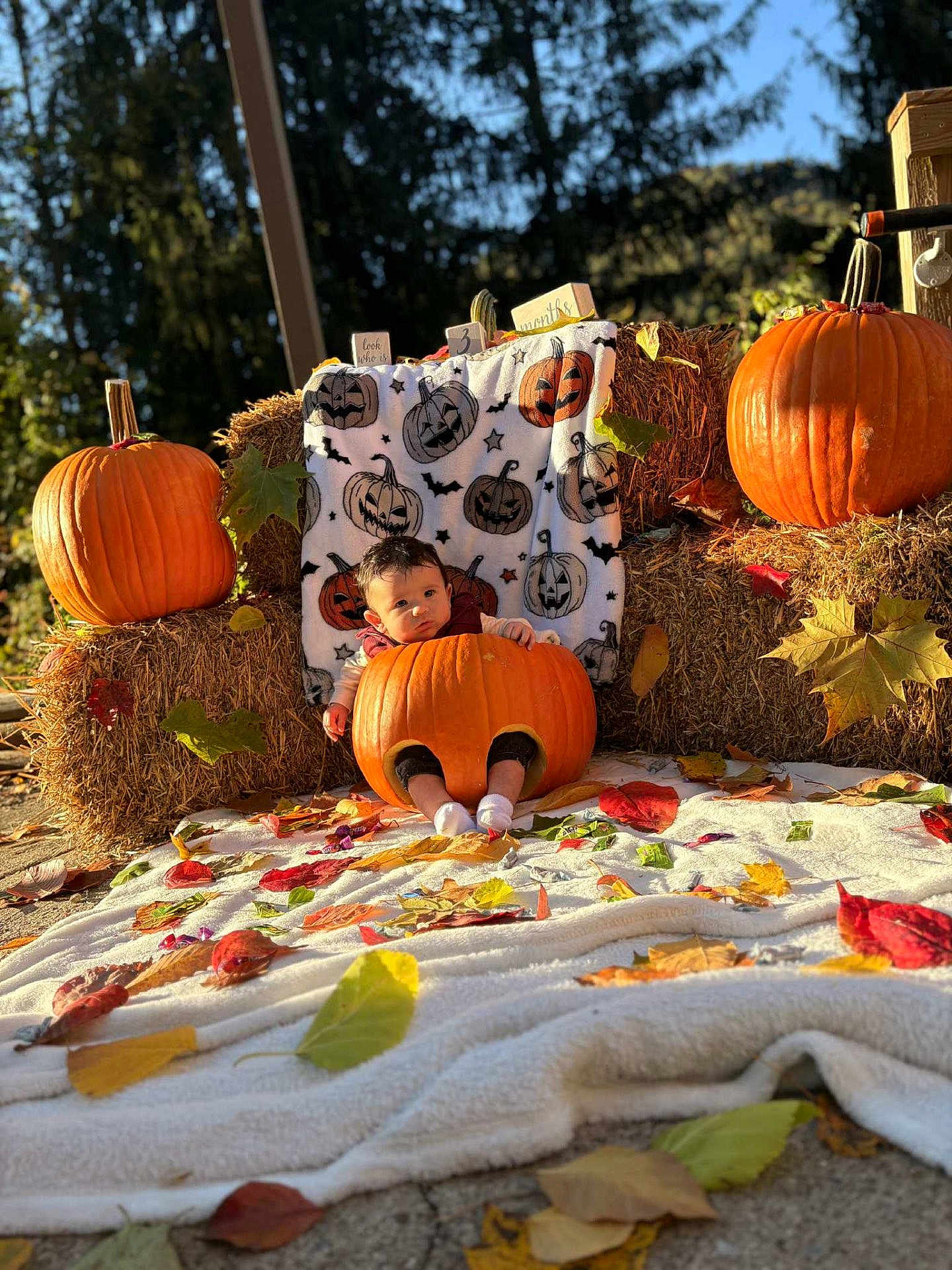 Xavian joined the competition — help win amazing prizes! baby, pumpkin, fall, autumn, hay_bale, leaves, blanket, outdoor, child, orange, seasonal, cute, nature, sunlight, holiday, decoration, smile, portrait, festive, costume