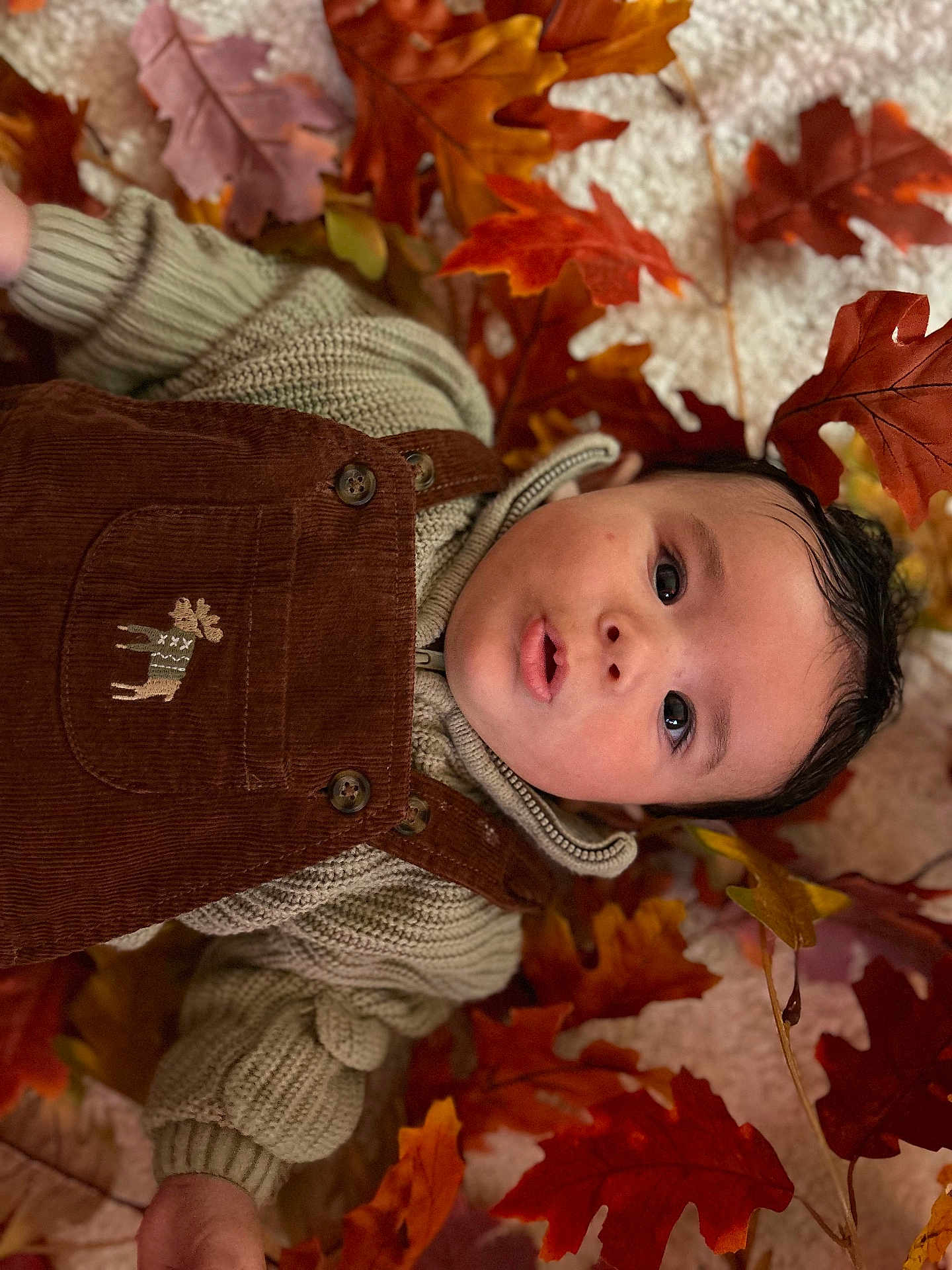 Xavian joined the competition — help win amazing prizes! autumn, baby, brown_clothing, child, cozy, curious, cute, expression, face, fall_leaves, indoor, infant, knit_sweater, laying_down, orange_leaves, overalls, portrait, seasonal, warm_clothing, young_child