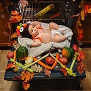 Xavian is registered to the contest to win money with this photo: autumn_leaves, baby, carrots, celery, cushion, cute, decor, diaper, holiday, infant, kitchen, onion, oven, potatoes, pumpkin, seasonal, socks, thanksgiving, turkey_hat, vegetables