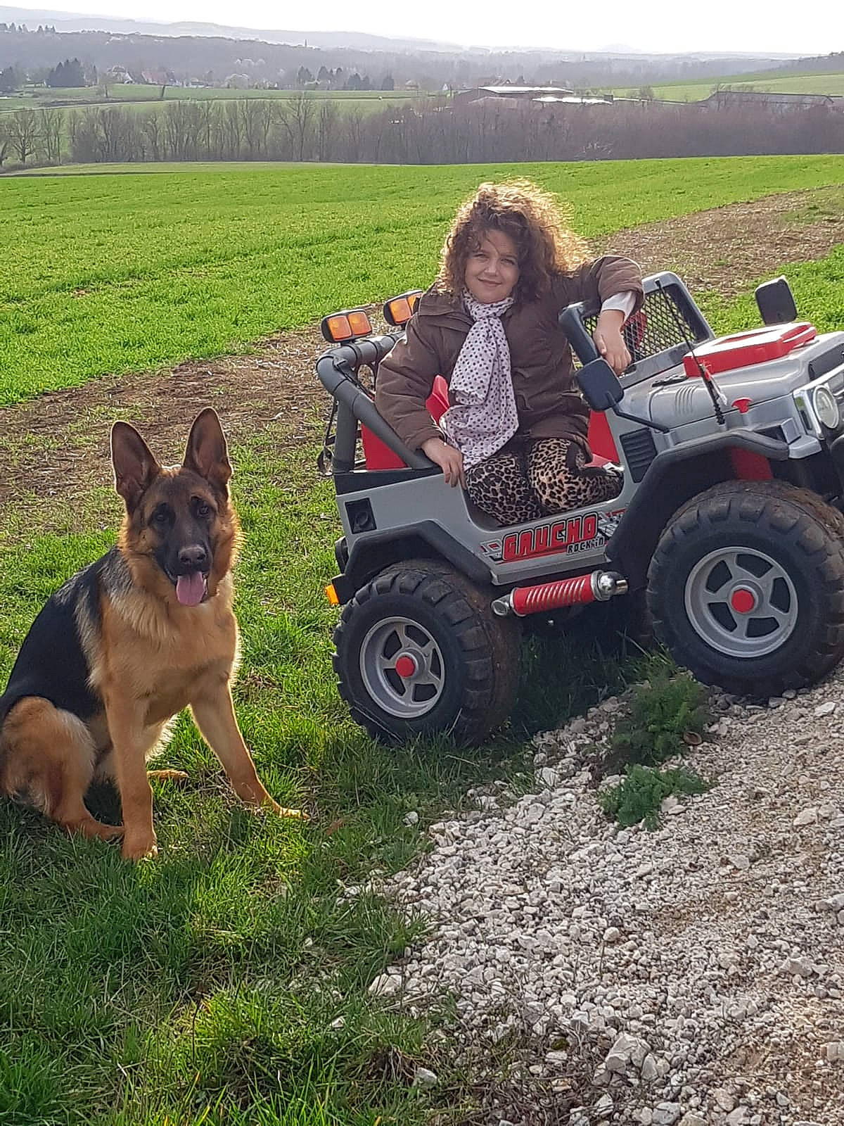 Ourca participe au concours pour gagner de l'argent avec cette photo : canidae, car, carnivore, dog, dog_breed, german_shepherd_dog, joy, king_shepherd, old_german_shepherd_dog, person, vehicle, working_dog
