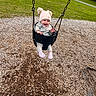 baby, child, swing, playground, hat, pink_hat, grass, wood_chips, outdoor, park, happy, smiling, clothing, footwear, person, fun, play, seat, chain, nature