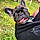 Scrappy-Doo