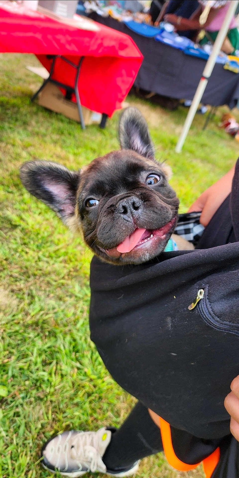 Scrappy-Doo