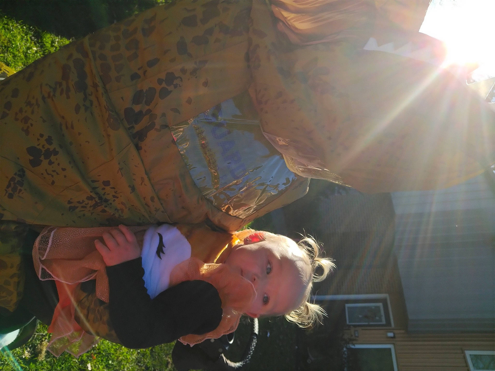 Ariella is registered to the contest to win money with this photo: adventure, backlighting, child, fun, grass, happy, landscape, leisure, lens_flare, light, mammal, morning, people_in_nature, person, plant, recreation, sitting, sun, tints_and_shades, toddler