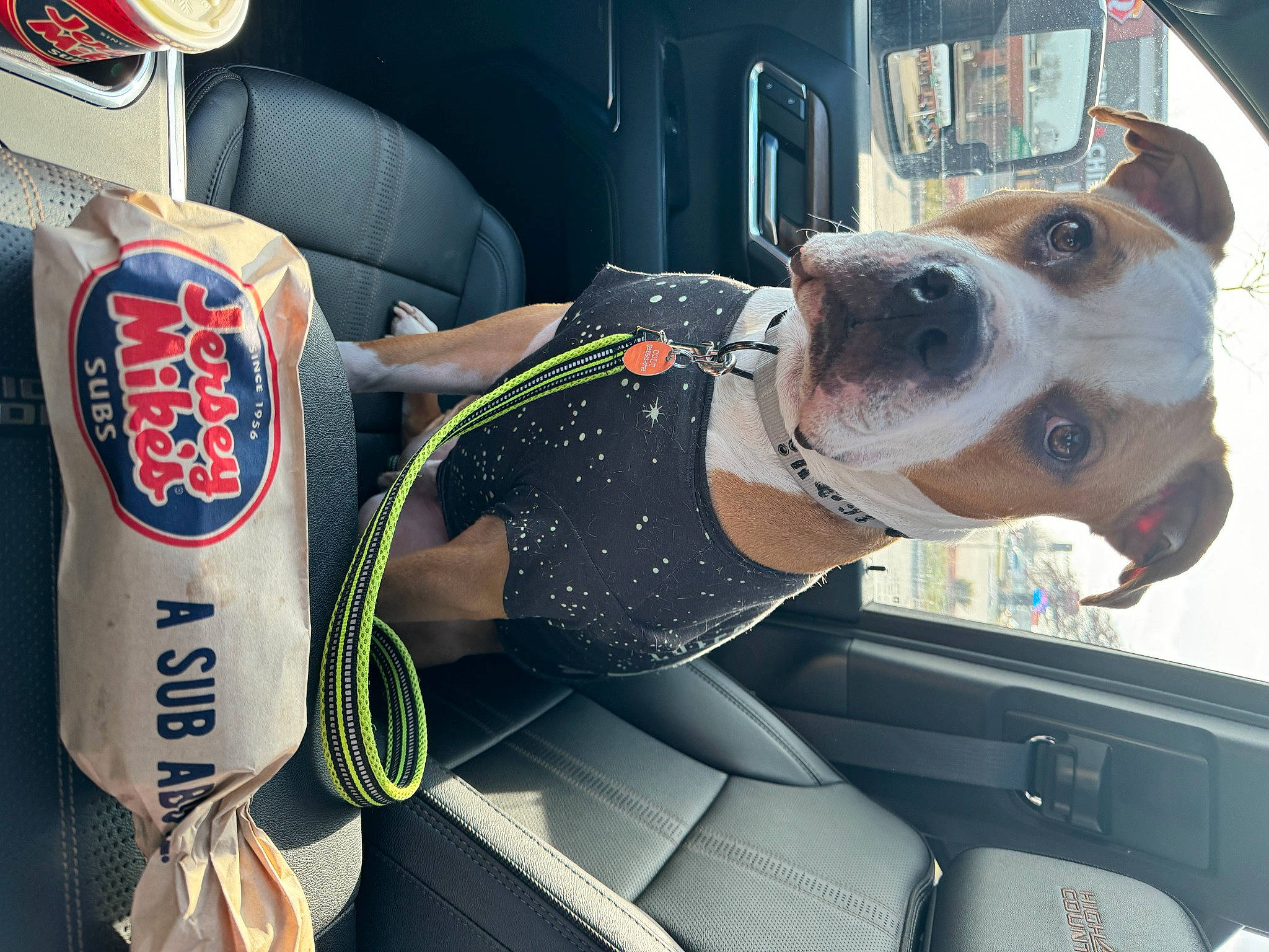 Colt is registered to the contest to win money with this photo: auto_part, automotive_design, automotive_exterior, car, car_seat, car_seat_cover, carnivore, collar, companion_dog, dog, dog_breed, dog_supply, eyewear, motor_vehicle, snout, sporting_group, vehicle, vehicle_door, windshield, working_animal