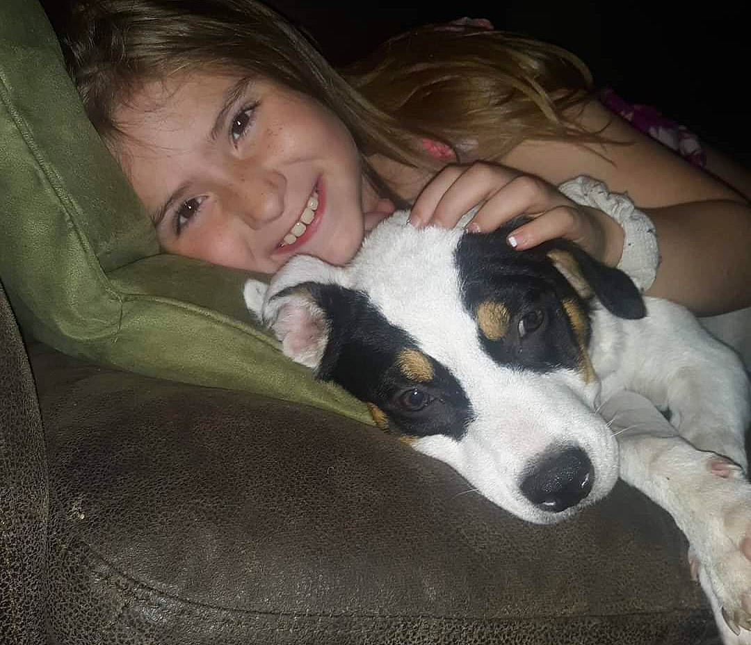 Avery joined the competition — help win amazing prizes! canidae, carnivore, comfort, companion_dog, dog, dog_breed, ear, flash_photography, fun, fur, happy, joy, lap, nose, person, sitting, smile, sporting_group, working_animal